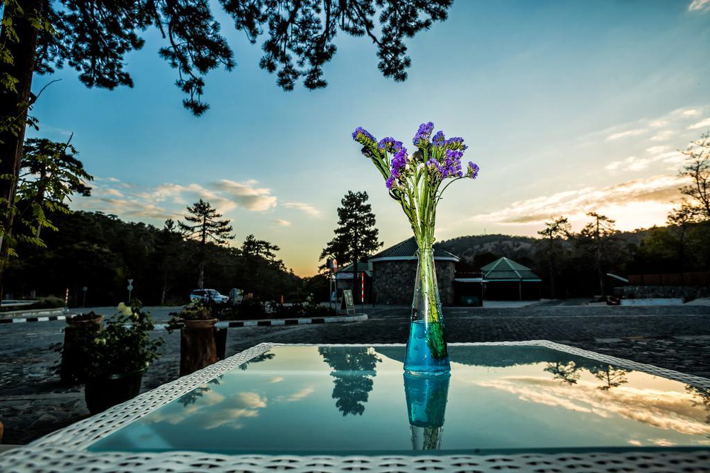 Troodos Hotel & Spa Dış mekan fotoğraf