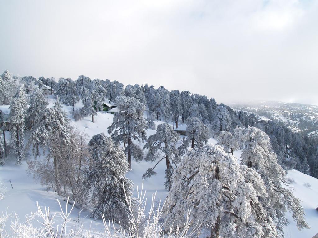 Troodos Hotel & Spa Dış mekan fotoğraf